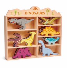 Load image into Gallery viewer, Dinosaur Animal collection
